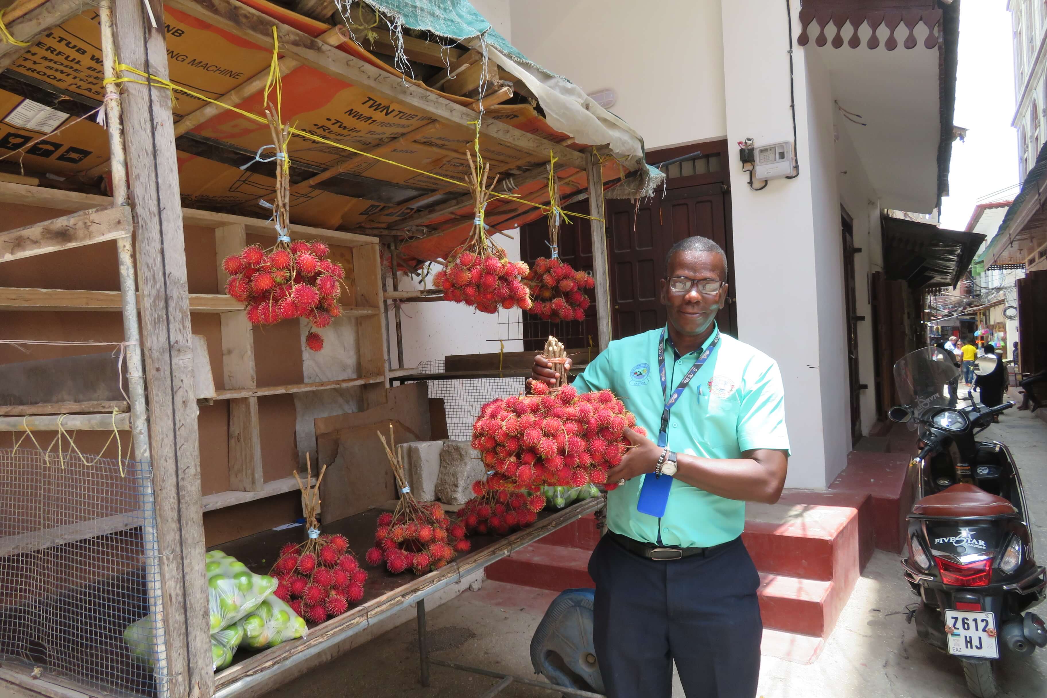Litschi in einem Bund in der Hand gehalten