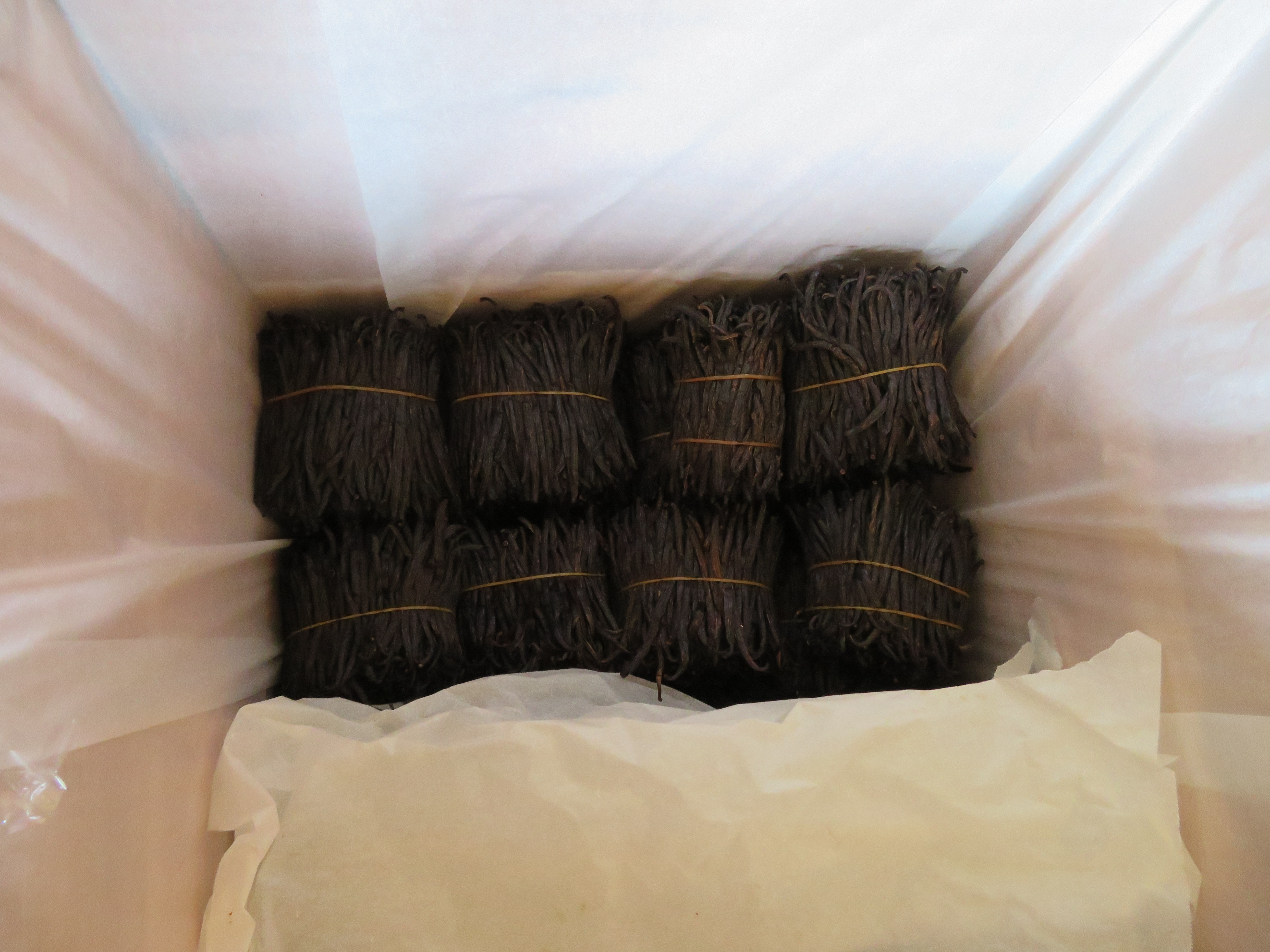 Vanilleschoten-gepackt-Kiste
