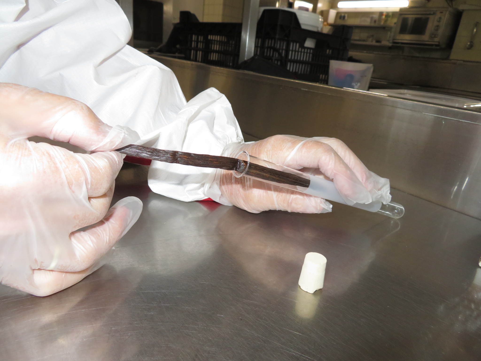 Vanilleschote hygienisch in reagenzglas verpacken